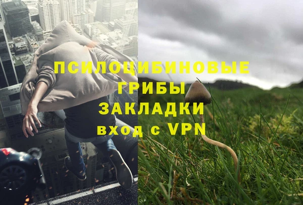 не бодяженный Арсеньев