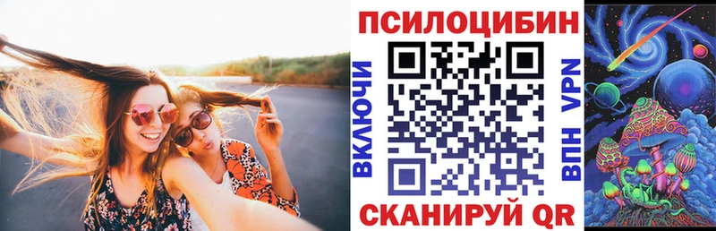 Купить  Нурлат  Псилоцибиновые грибы Magic Shrooms 